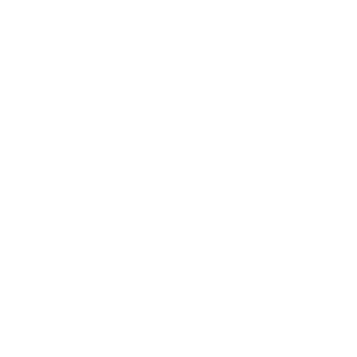 Cervezas  <br> Beers 